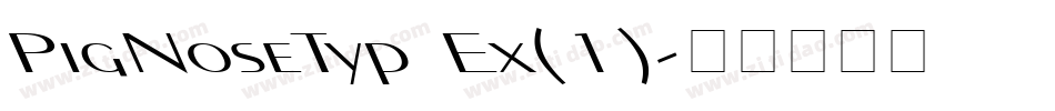 PigNoseTyp Ex(1)字体转换
